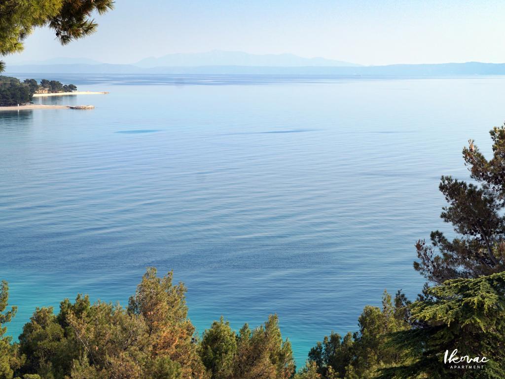 Apartment Ikovac Baska Voda